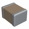 1210J0250392KDR Image