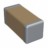 1808Y6305P60BCR Image